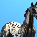 breyer.711220QuelleSurpriseAppaloosa.A.4