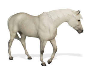 Breyer Test Color Indian Pony Collector's Club 2016