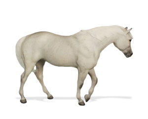 Breyer Test Color Indian Pony Collector's Club 2016