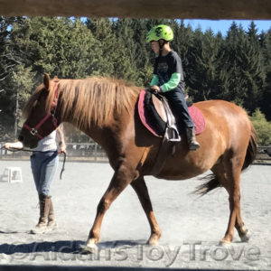 Aidan's first horseback riding lesson