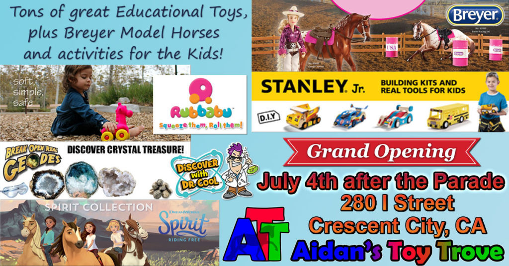 Aidan's Toy Trove Retail Store Grand Opening